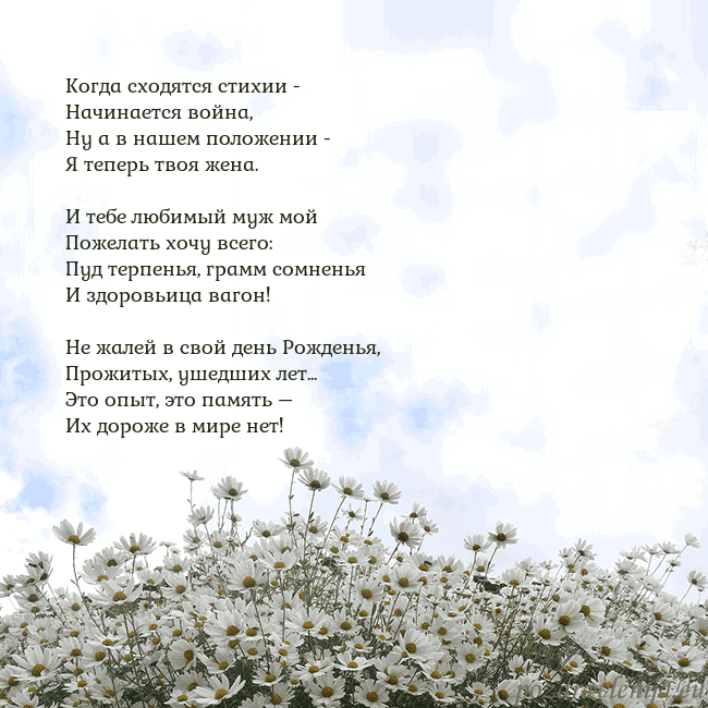 Открытка с ромашками