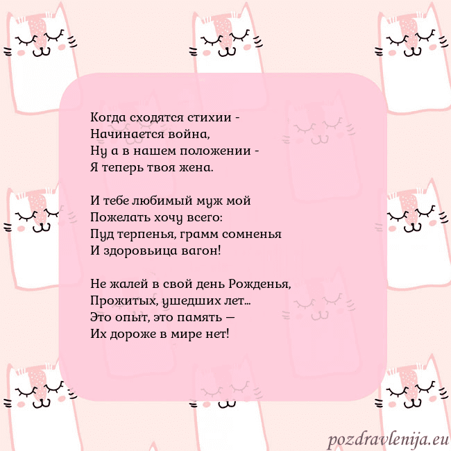 Розовая открытка с забавными кошками
