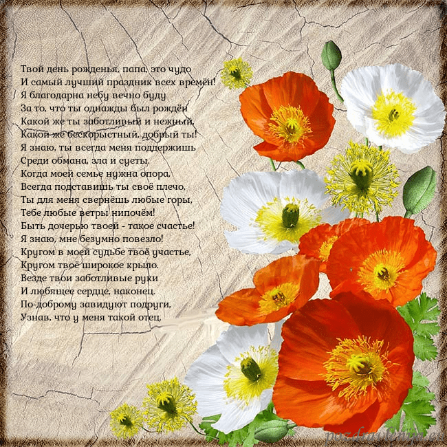 Открытка с маками Твой день рожденья, папа, это чудо
И самый лучший Открытка с маками