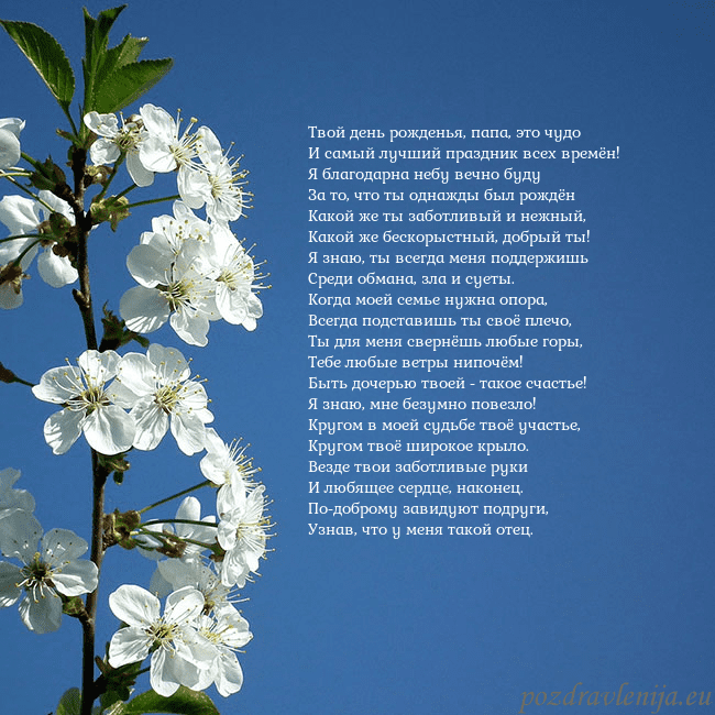 Открытка с весенними цветами Твой день рожденья, папа, это чудо
И самый лучший Открытка с весенними цветами