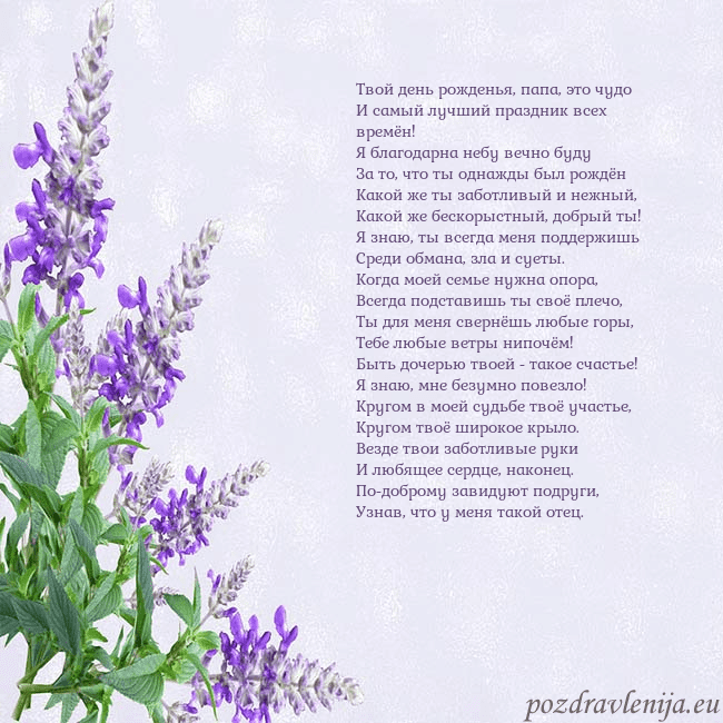 Открытка с люпинами Твой день рожденья, папа, это чудо
И самый лучший Открытка с люпинами