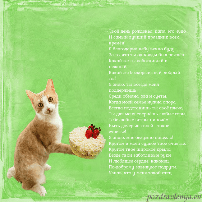 Забавная открытка на день рождения с кошкой и тортом Твой день рожденья, папа, это чудо
И самый лучший Забавная открытка на день рождения с кошкой и тортом