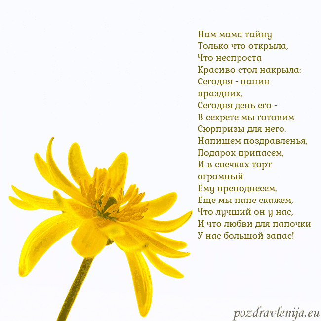 Открытка с желтым цветком