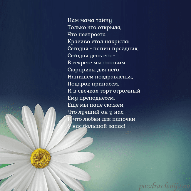 Открытка с большой ромашкой