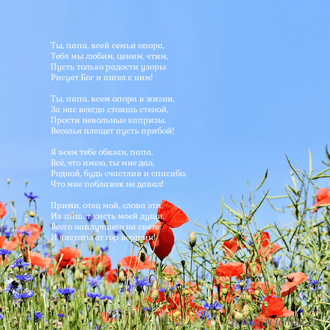 Открытка с маками