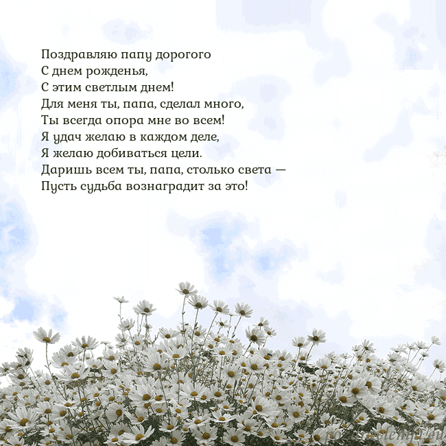 Открытка с ромашками