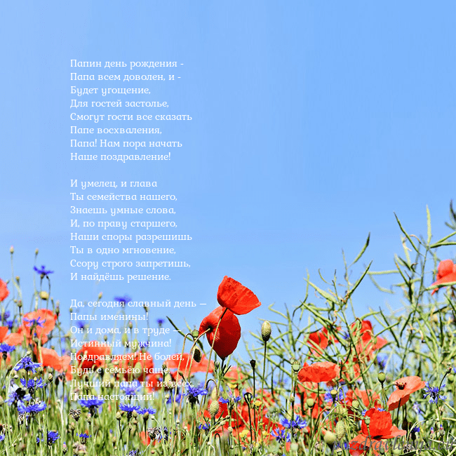 Открытка с маками