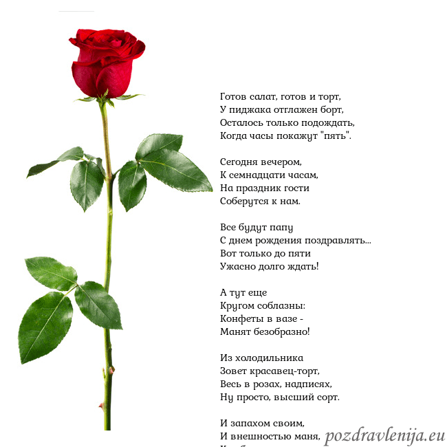 Открытка с красной розой Готов салат, готов и торт,
У пиджака отглажен борт Открытка с красной розой