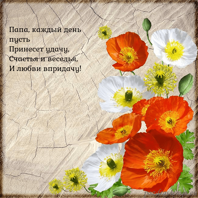Открытка с маками