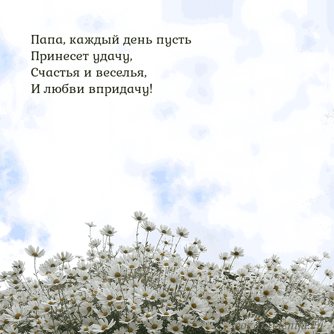 Открытка с ромашками