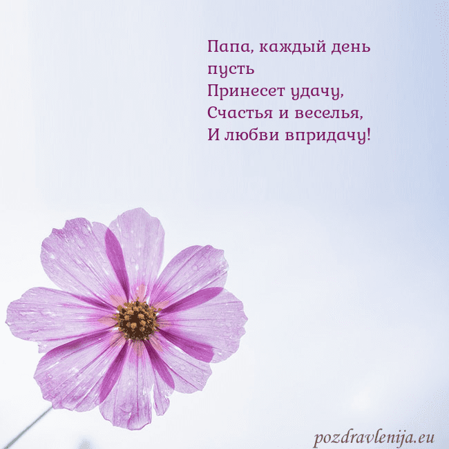 Электронная открытка с фиолетовым цветком