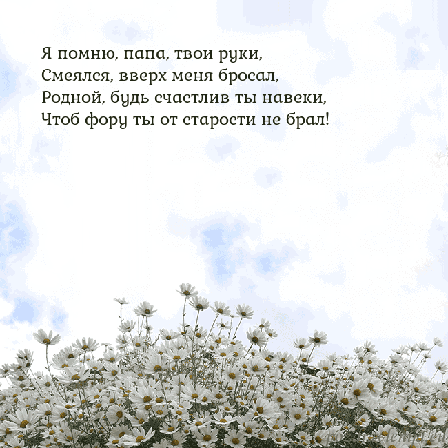 Открытка с ромашками
