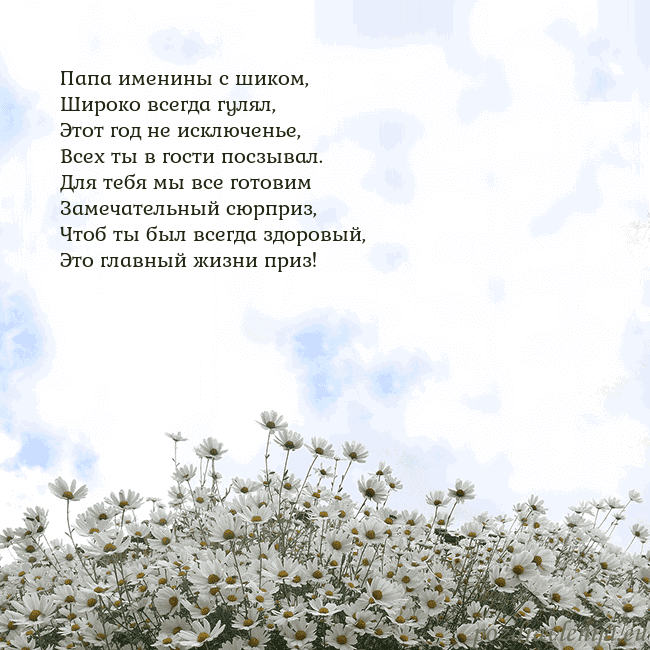 Открытка с ромашками