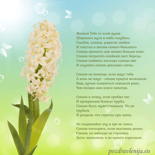 Открытка с гиацинтом Желаем Тебе от всей души 
Широкого пути и неба гол Открытка с гиацинтом