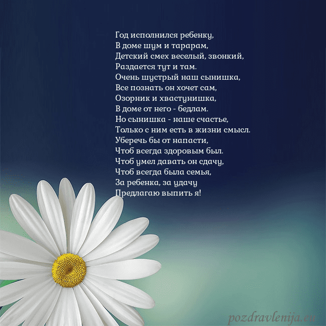 Открытка с большой ромашкой