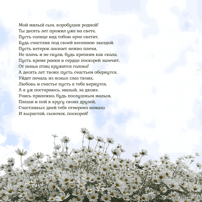 Открытка с ромашками Мой милый сын, воробушек родной!
Ты десять лет про Открытка с ромашками