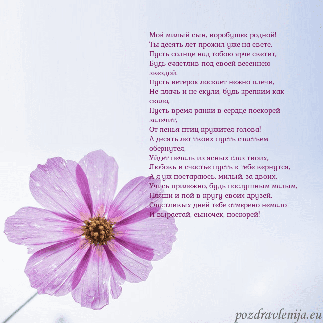 Электронная открытка с фиолетовым цветком Мой милый сын, воробушек родной!
Ты десять лет про Электронная открытка с фиолетовым цветком