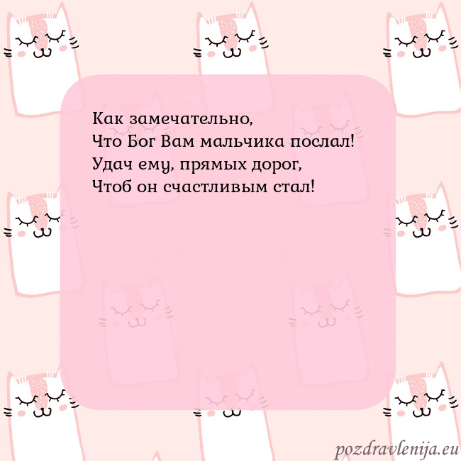 Розовая открытка с забавными кошками