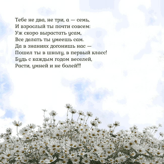 Открытка с ромашками