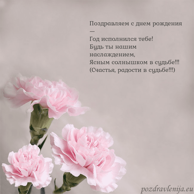Открытка с розовыми гвоздиками