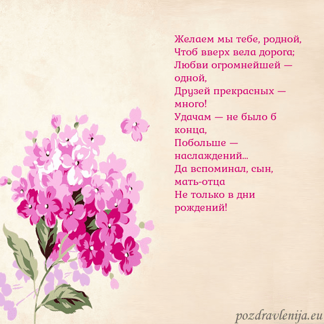 Открытка с гортензией