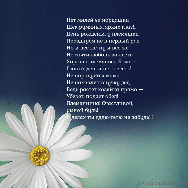 Открытка с большой ромашкой