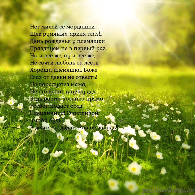 Электронная открытка с утопающим в солнечном свете лугом