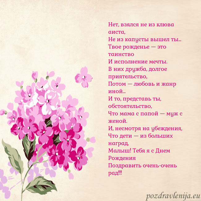 Открытка с гортензией