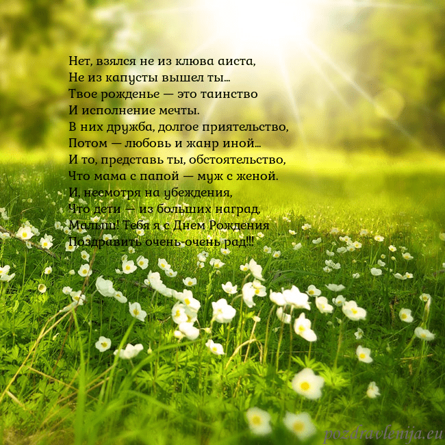 Электронная открытка с утопающим в солнечном свете лугом