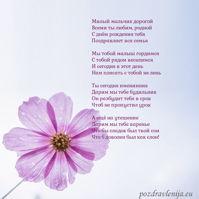 Электронная открытка с фиолетовым цветком