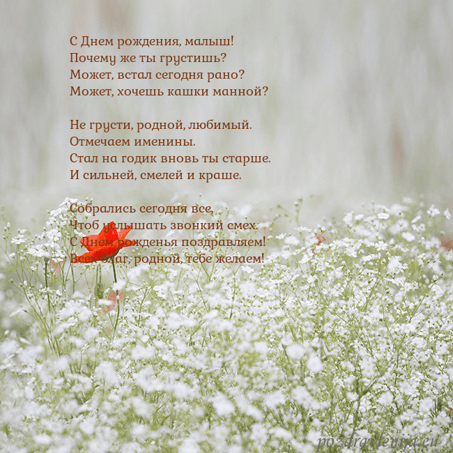 Электронная открытка с белыми цветами