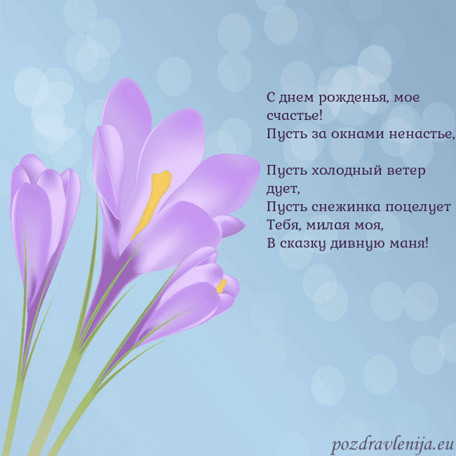 Открытка с крокусом