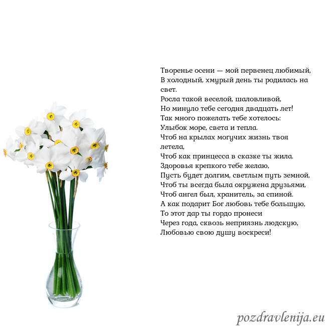Открытка с нарциссами Творенье осени — мой первенец любимый,
В холодный, Открытка с нарциссами