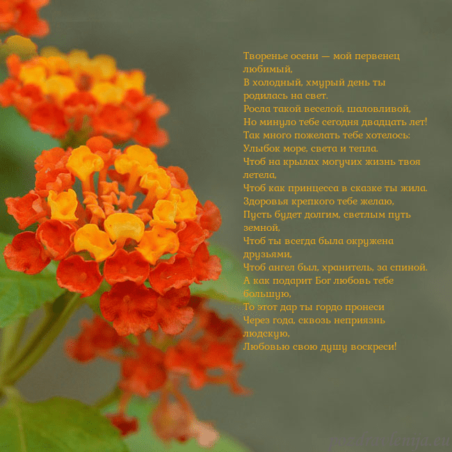 Открытка с оранжевыми цветами Творенье осени — мой первенец любимый,
В холодный, Открытка с оранжевыми цветами