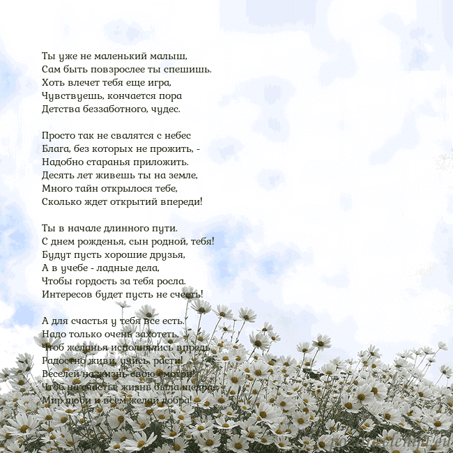 Открытка с ромашками Ты уже не маленький малыш,
Сам быть повзрослее ты Открытка с ромашками