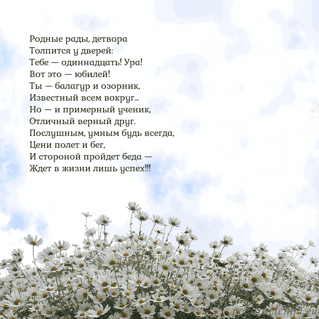 Открытка с ромашками
