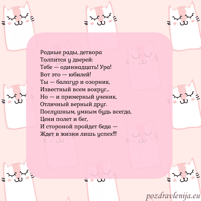 Розовая открытка с забавными кошками