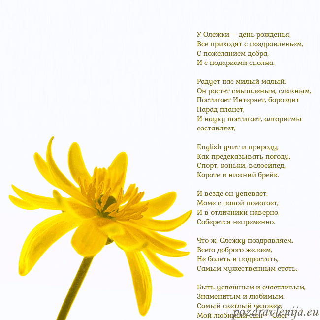 Открытка с желтым цветком У Олежки – день рожденья,
Все приходят с поздравл Открытка с желтым цветком