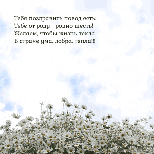 Открытка с ромашками