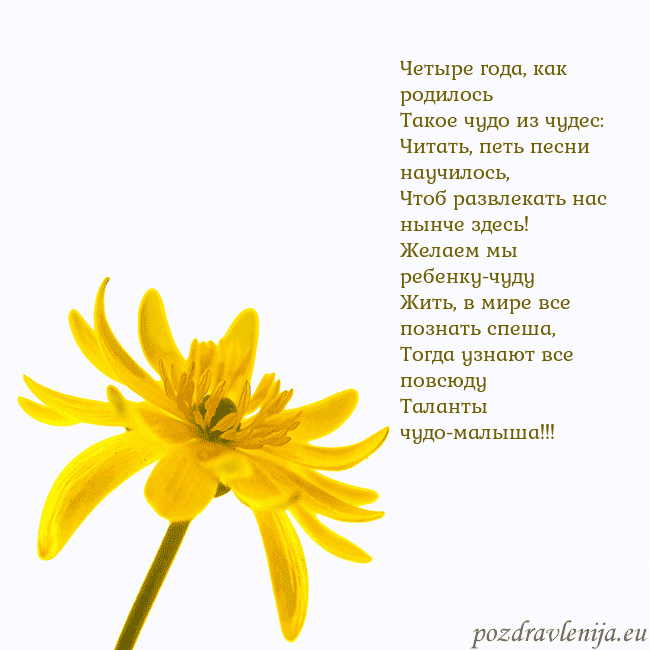 Открытка с желтым цветком
