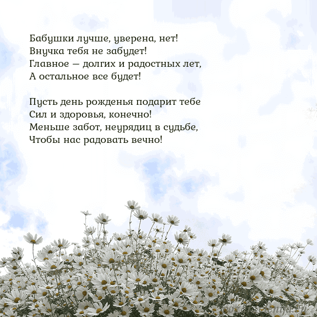Открытка с ромашками