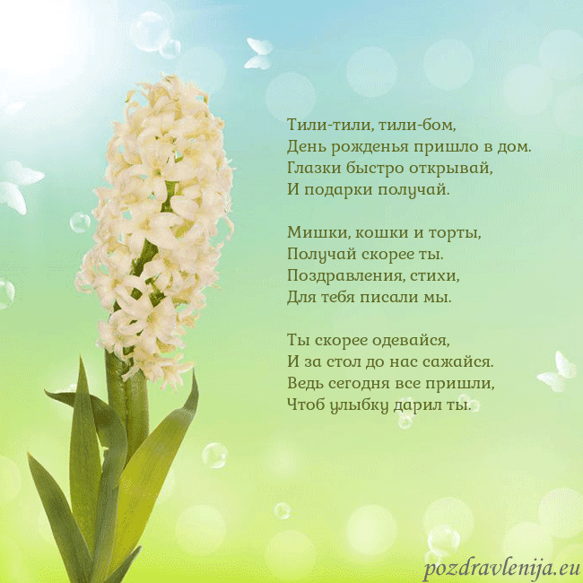 Открытка с гиацинтом