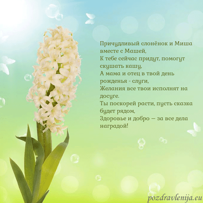 Открытка с гиацинтом