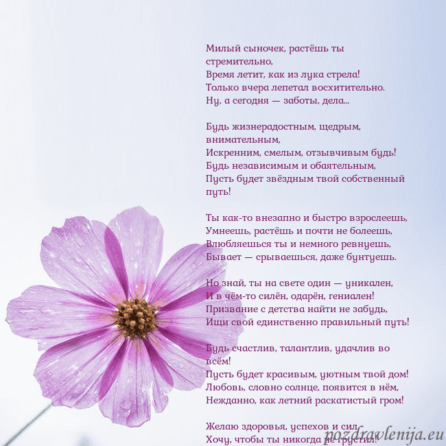Электронная открытка с фиолетовым цветком