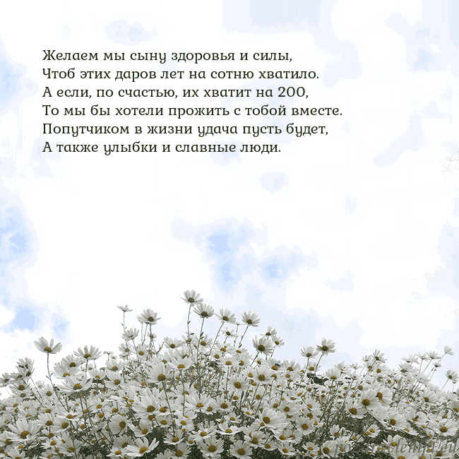 Открытка с ромашками