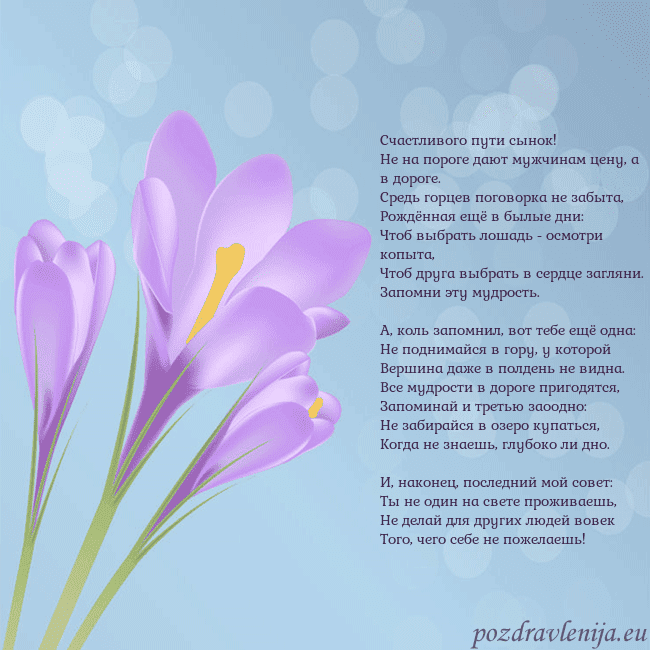 Открытка с крокусом Счастливого пути сынок!
Hе на пороге дают мужчина Открытка с крокусом