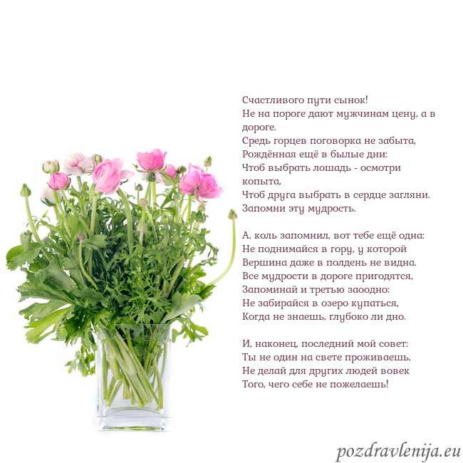 Открытка с цветами в вазе Счастливого пути сынок!
Hе на пороге дают мужчина Открытка с цветами в вазе
