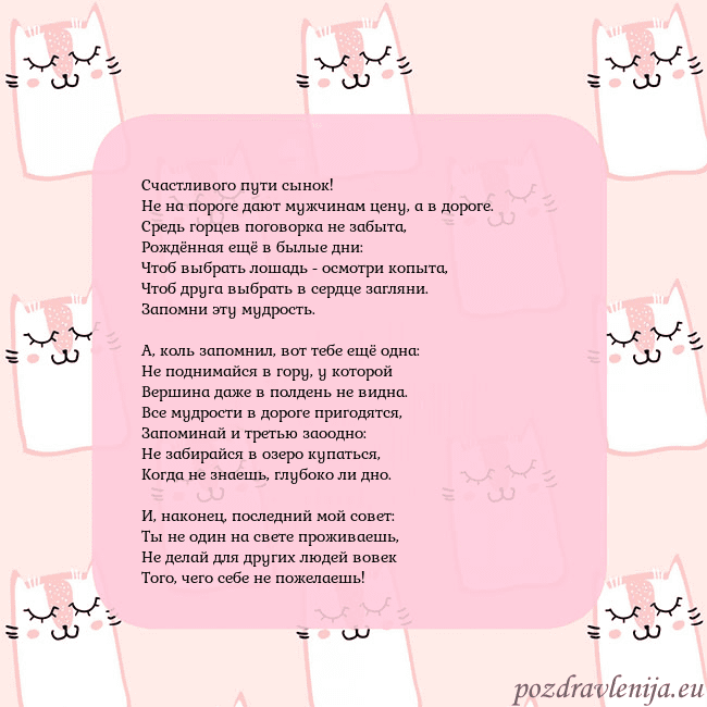 Розовая открытка с забавными кошками