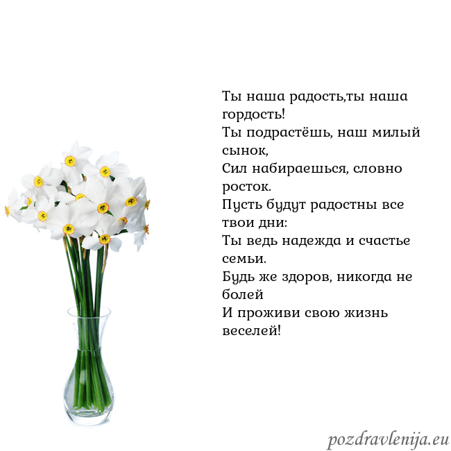 Открытка с нарциссами