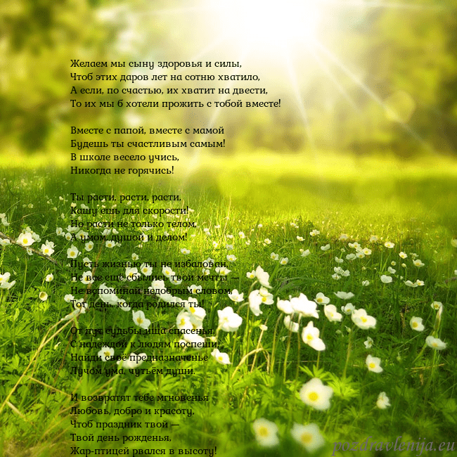 Электронная открытка с утопающим в солнечном свете лугом